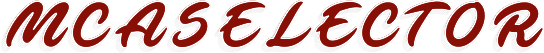 mcaselector